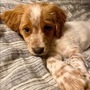 Meet your Posher, Sophia